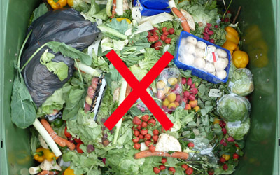 food-waste